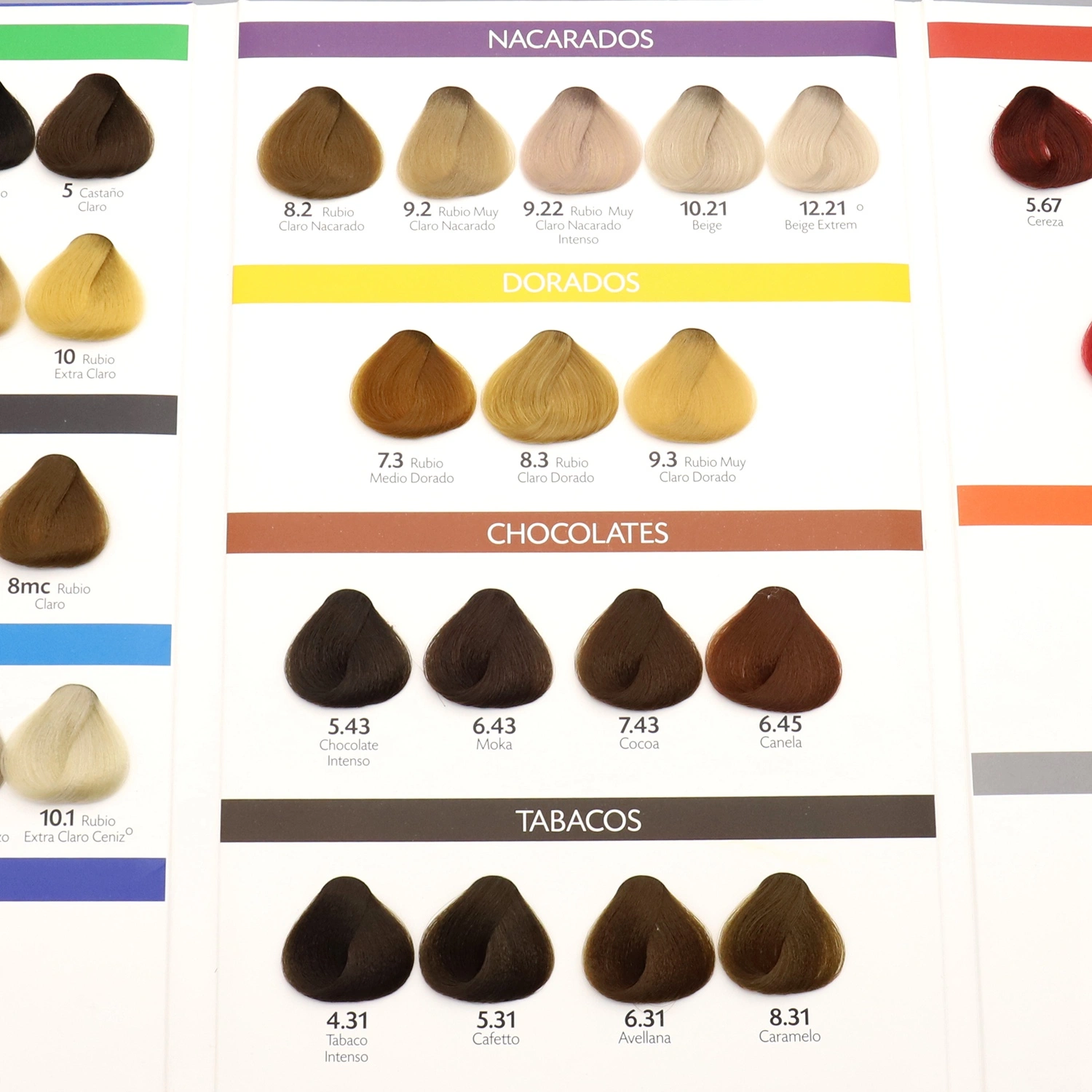 Custom Promotion Color Chart Catalogue for Professional Hair Salon Cosmetic Exhibition