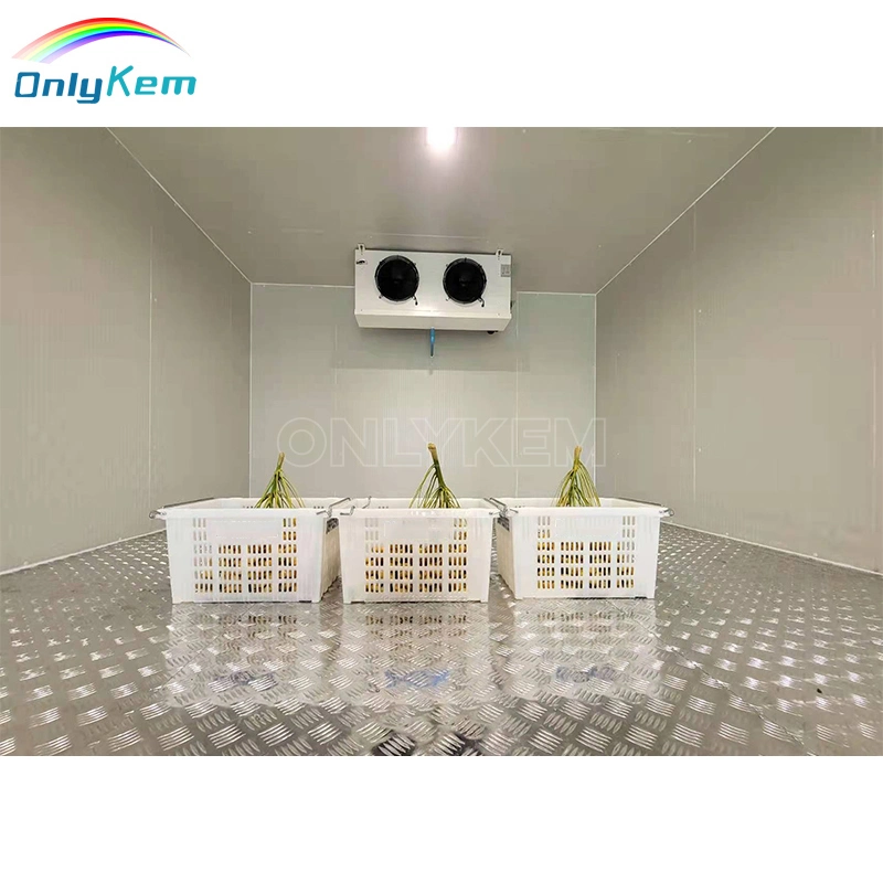 Design Cooling Room Chambre Froide Cold Storage Walk in Cooler Freezer Room