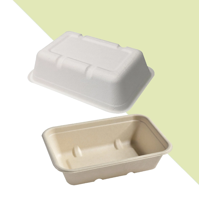 Resistente al agua-The-Go compostable en envasado de alimentos Menubox de caña de azúcar de la bandeja de comida gourmet de verificación