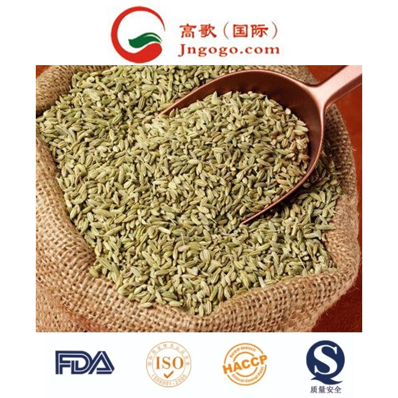 Chinese New Crop Fennel Seeds