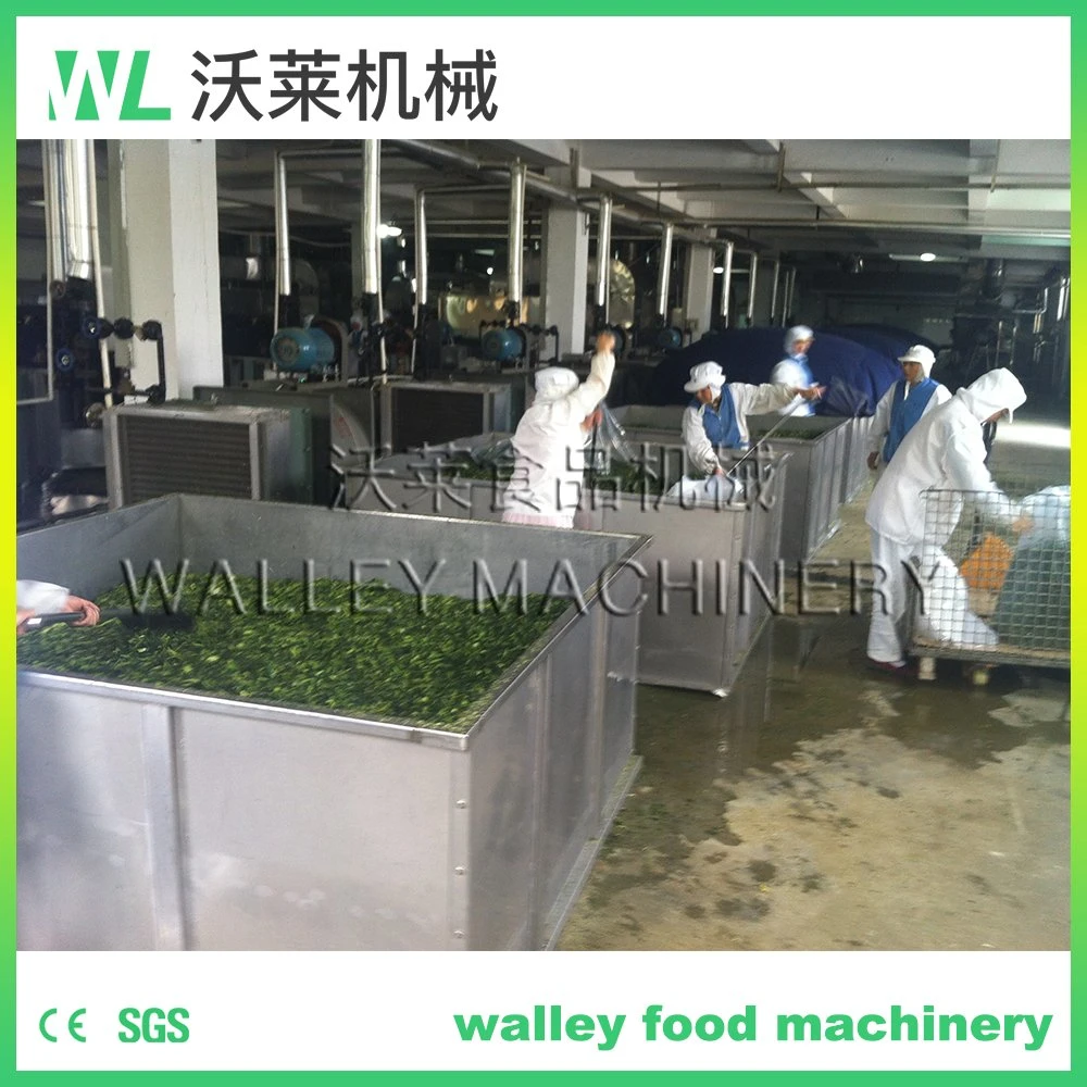China Beetroot Beet Dehydrator Dry Machine