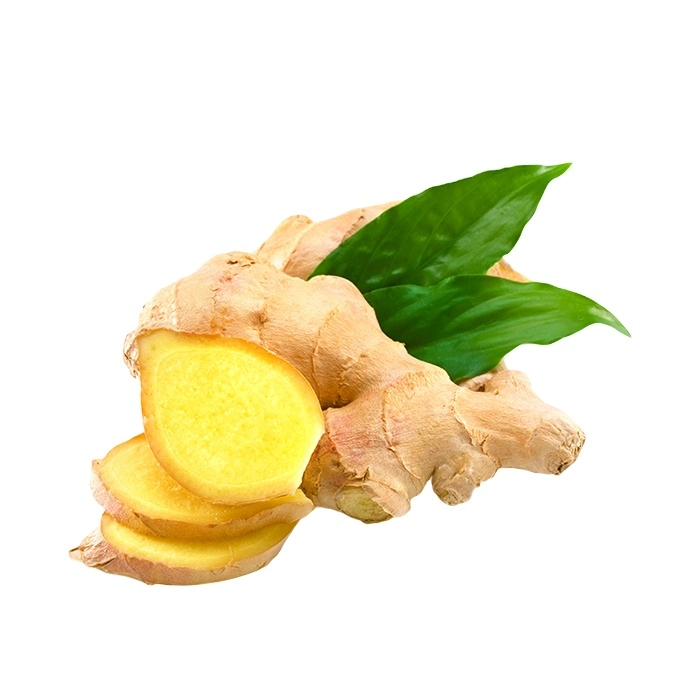 2023 Crop China Shangdong Younger Ginger Fresh Ginger Wholesale/Supplier