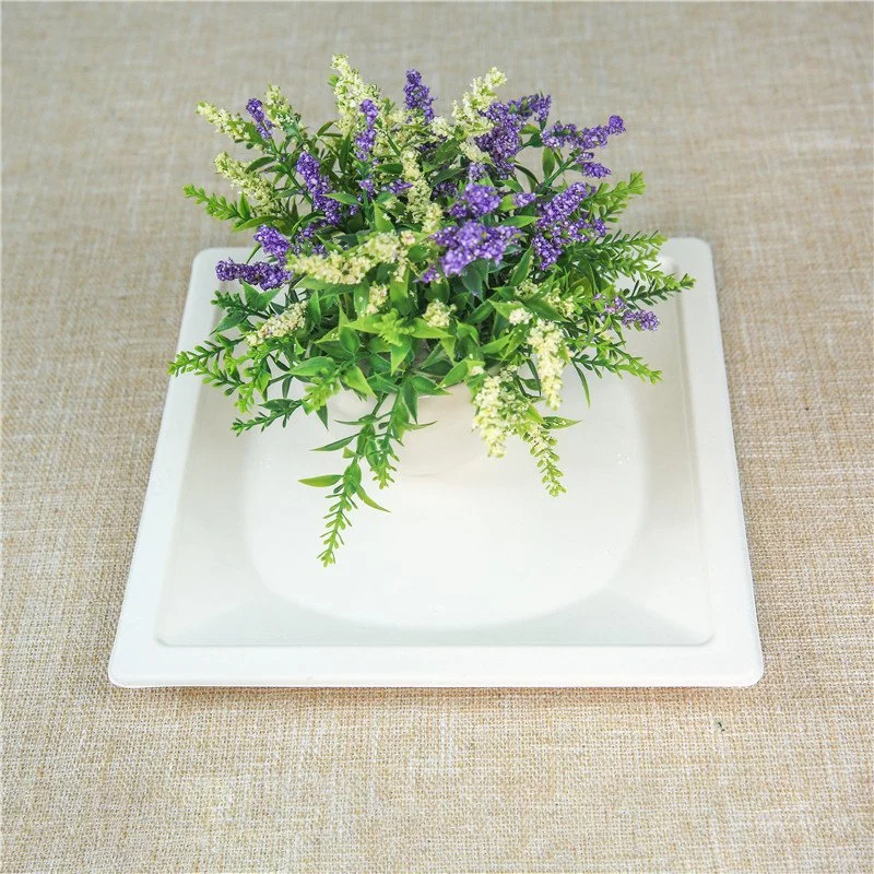 Biodegradable Dinner Plate Sugarcane Bagasse Pulp Plates Restaurant Disposable Square Tray