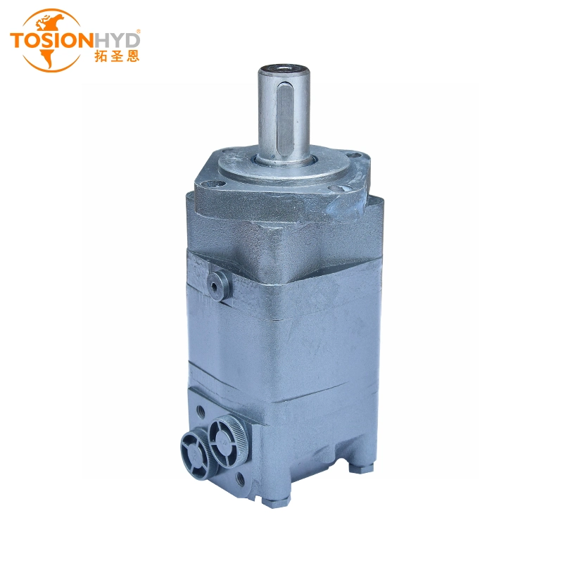 Bmm/Omm Bmr/OMR BMP/Omp Bmh/Omh BMS/Oms Bmt/Omt Bmv/Omv Radial Piston Drive Wheel Oil Orbital Mini Hydraulic Motor with Eaton Sauer Danfoss Poclain Intermot