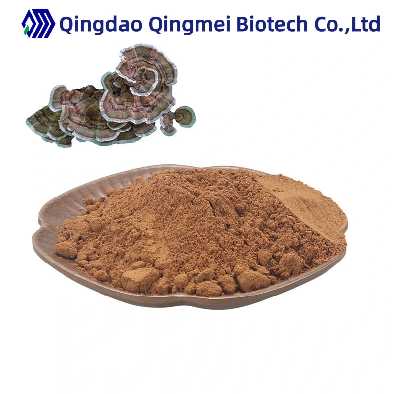 Natural Polysaccharide Yunzhi Mushroom Extract Coriolus Versicolor Extract