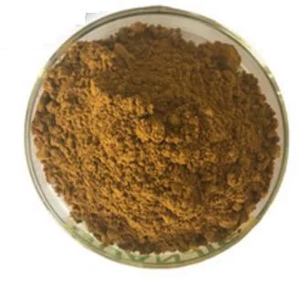 High Standard 40% Polyphenole White Tea Extract