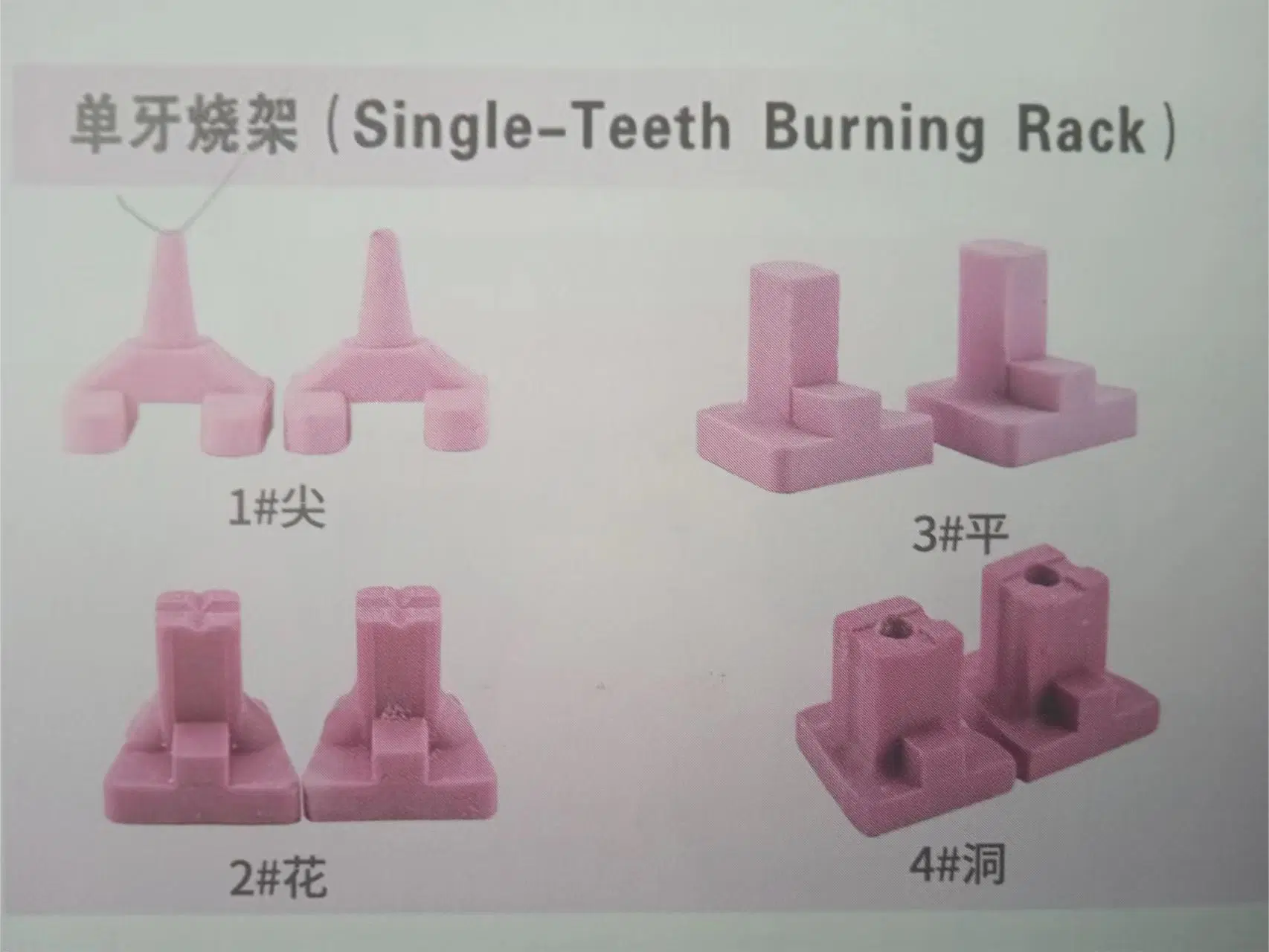 Dental Lab Products Single-Teeth Burning Rack