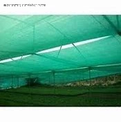 Manufacture Wholesale/Supplier 100% Virgin PE/Plastic/Nylon Monofilament Garden/Agriculture/Greenhouse/Vegetables Mosquito Insect Screen Proof Mesh Net Price