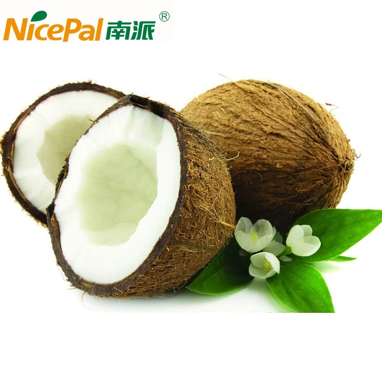 Coconut Milk Powder for Ice Cream