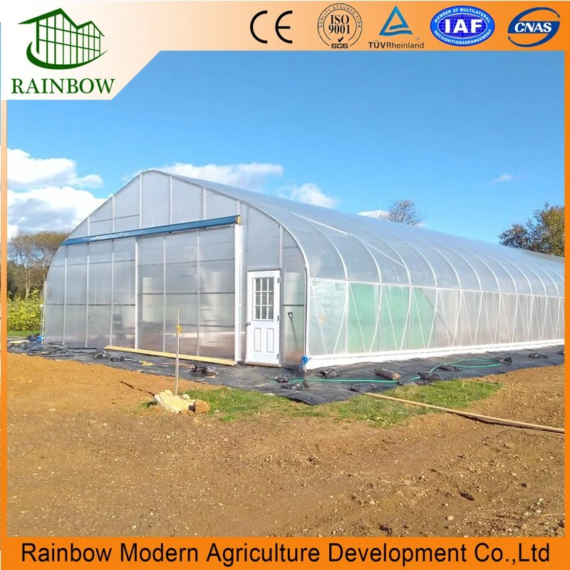 Single Span Film Greenhouse for Vegetable Growing System