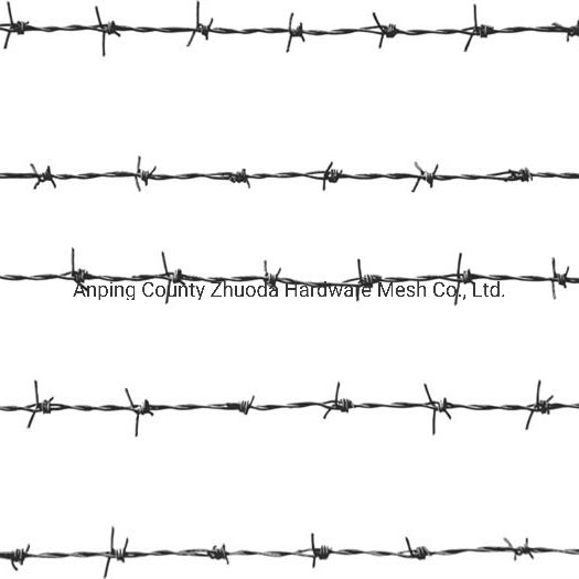 China Wholesale/Supplier Galvanized Barbed Wire Amazon Low Price