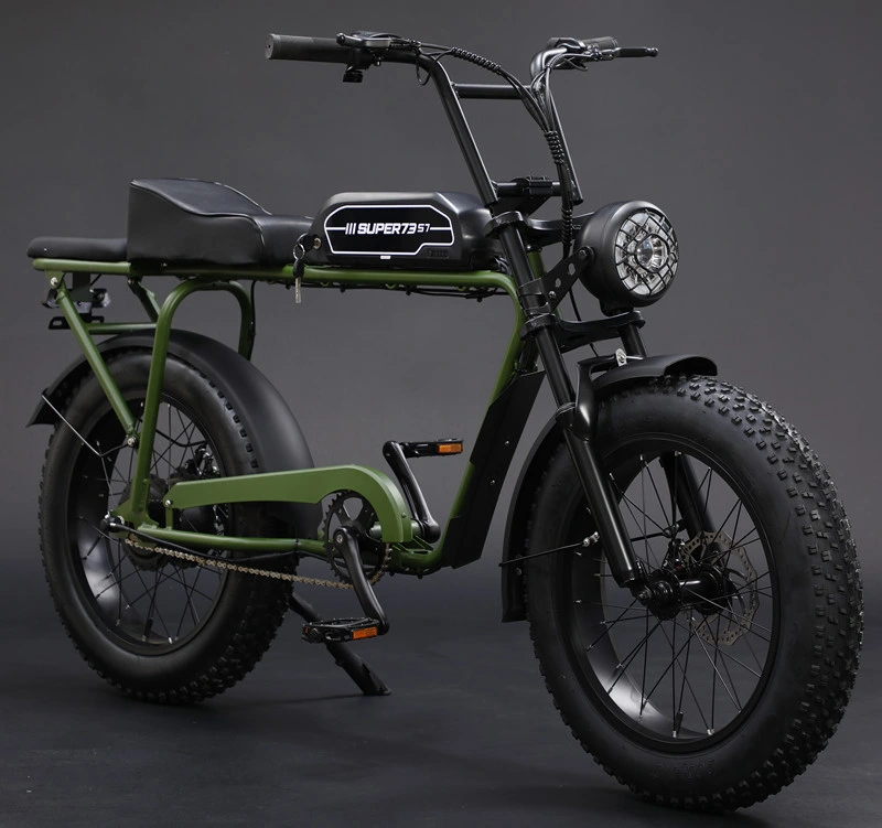 Electric Bike 2 Wheels Fat Tire Snowmobile E-Scooter Bicycle ATV