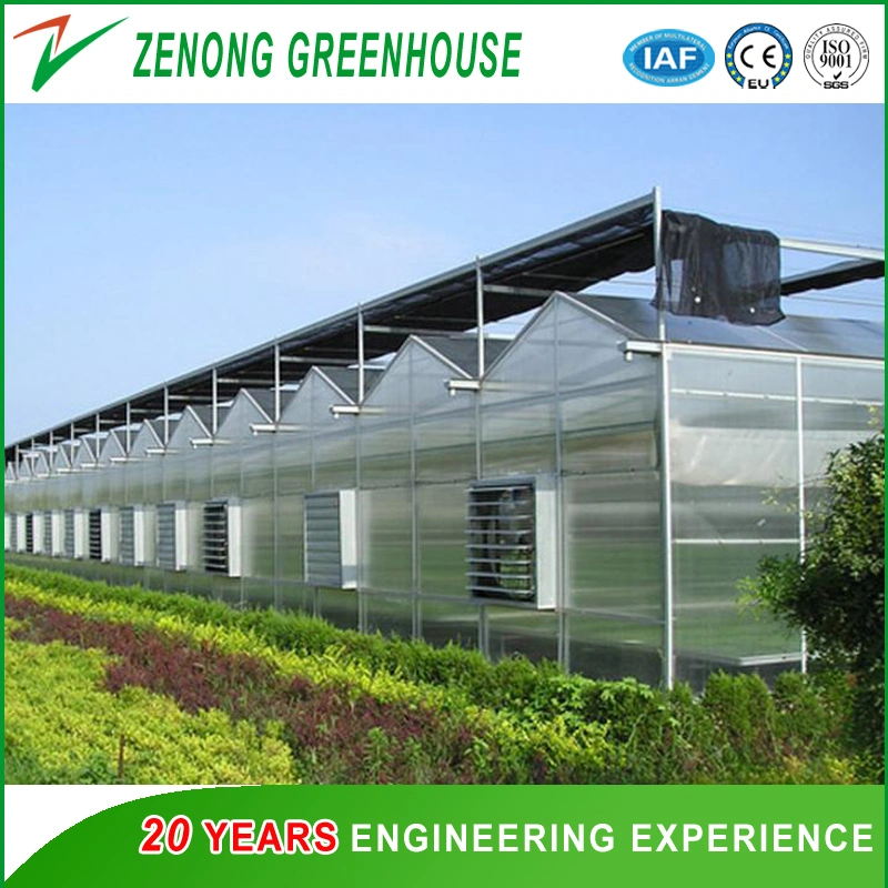 Polycarbonate Greenhouse for Poultry Farm/Flower House