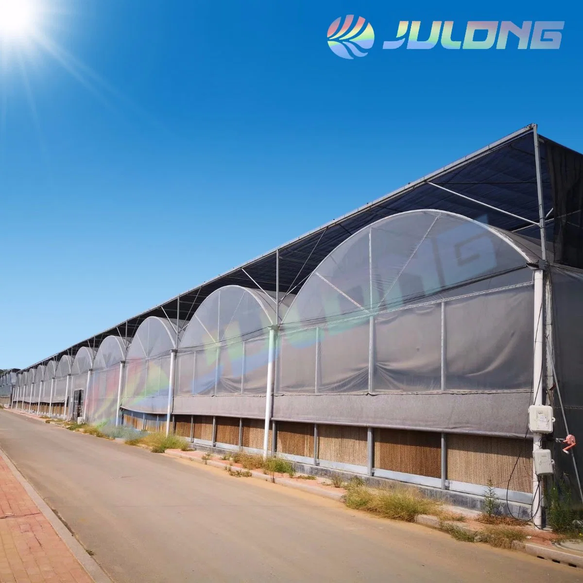 Hydroponic Growing System Plastic Film Greenhouse for Vegetables with Installation