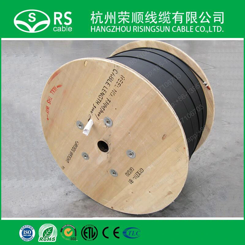 Fiber Optic Cable Gyxtc8s/GYTY53/GYTA53/GYTS/ADSS Optical Fiber Cable