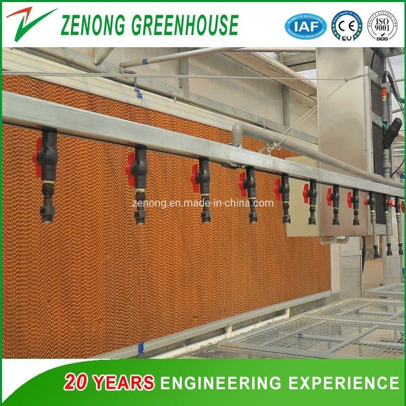 Water Cooling Pads/Evaporative Cooling Fan/Ventilation Fans/Exhausted Fan for Greenhouse/Livestock