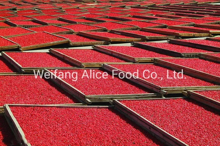 Long Shape and Sweet Taste Health Food Produced From China Dried Goji Berry