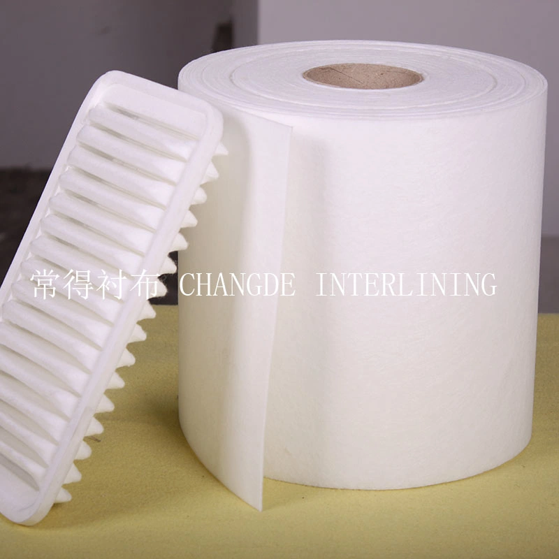 PA Coated Fusible Needle Punched Nonwoven for Auto Trims Auto Holstory