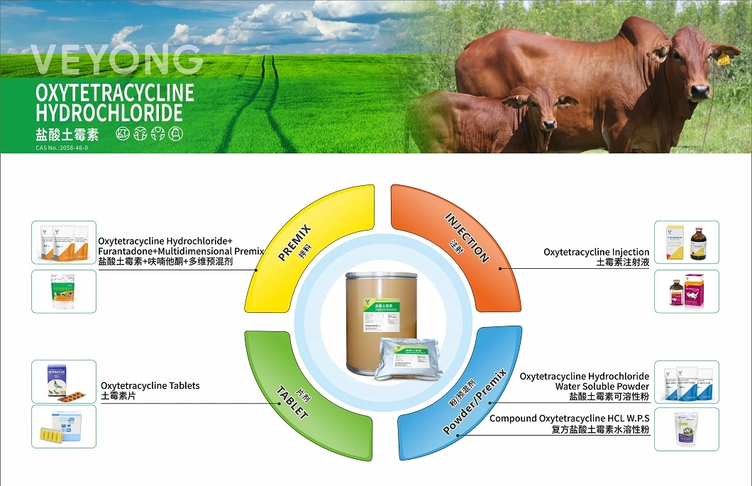 Veterinary Medicine 50% Oxytetracycline Hydrochloride (HCl) Injection From China Pharmaceutical Factory