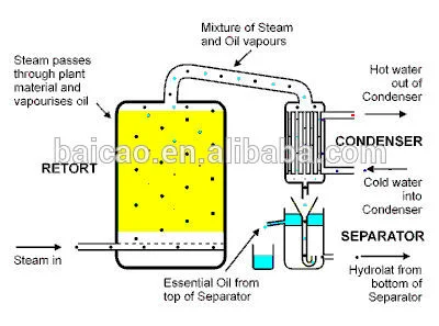 زيت العطر المنتجه من المصنع المنتجه Cinmaldehide، Cinnamyl aldehide للطب الحيوانات Feed زيت العطر نكهة الغذاء الغذاء قاعدة النفط الخام زيت أساسي