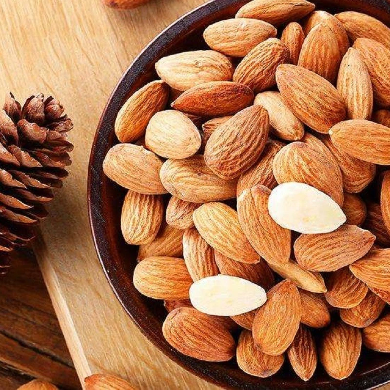 Bulk Almonds Bulk Price Delicious Snack Badam Nut Food Almond Apricot Seed/Kernel/Almond