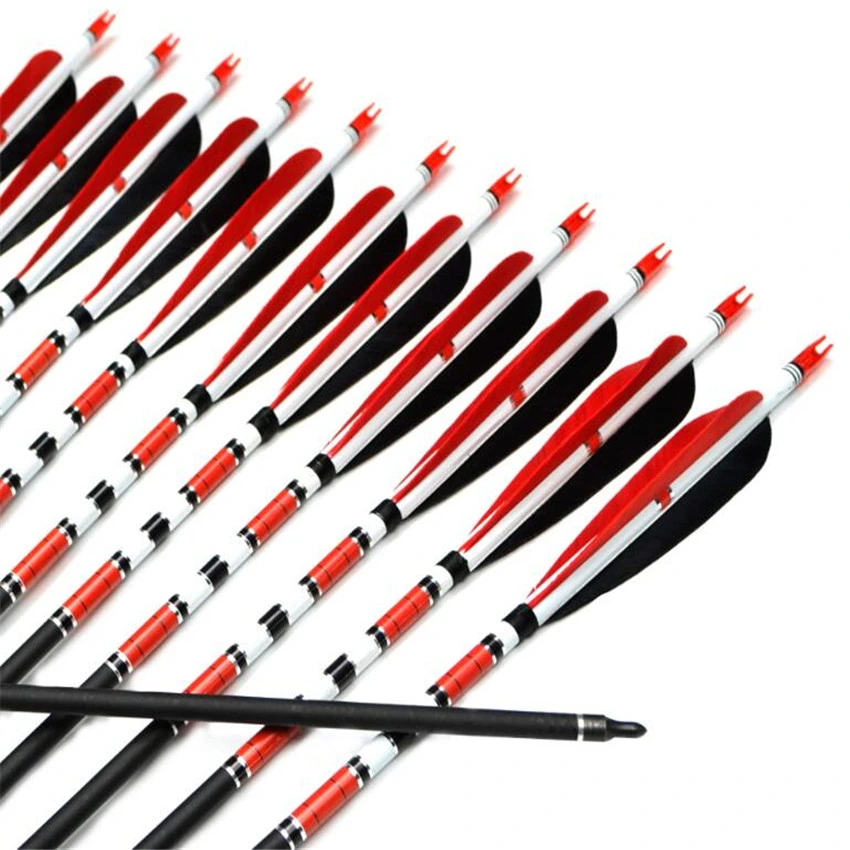 Mix Carbon Arrow 500 Spine Pfeile für Bogenschießen Recurve Bogen Co2-Pfeil