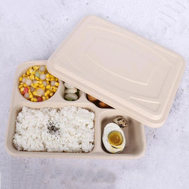 Disposable Biodegradable 3 4 5 Compartment Takeout Bento Meal Lunch Food Container Packaging Sugarcane Bagasse Box with Lid