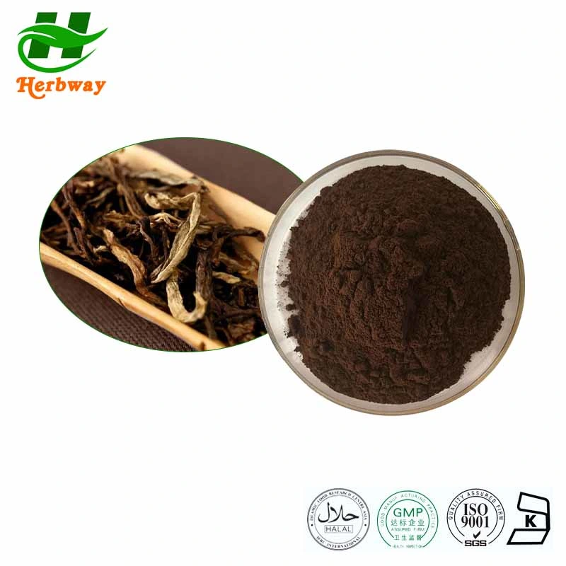 China&prime; S Low Price 100% PU&prime; Er Tea Extract Powder Instant Tea Powder Theaflavin Tea Polyphenols Camellia Sinensis Var. Assamica