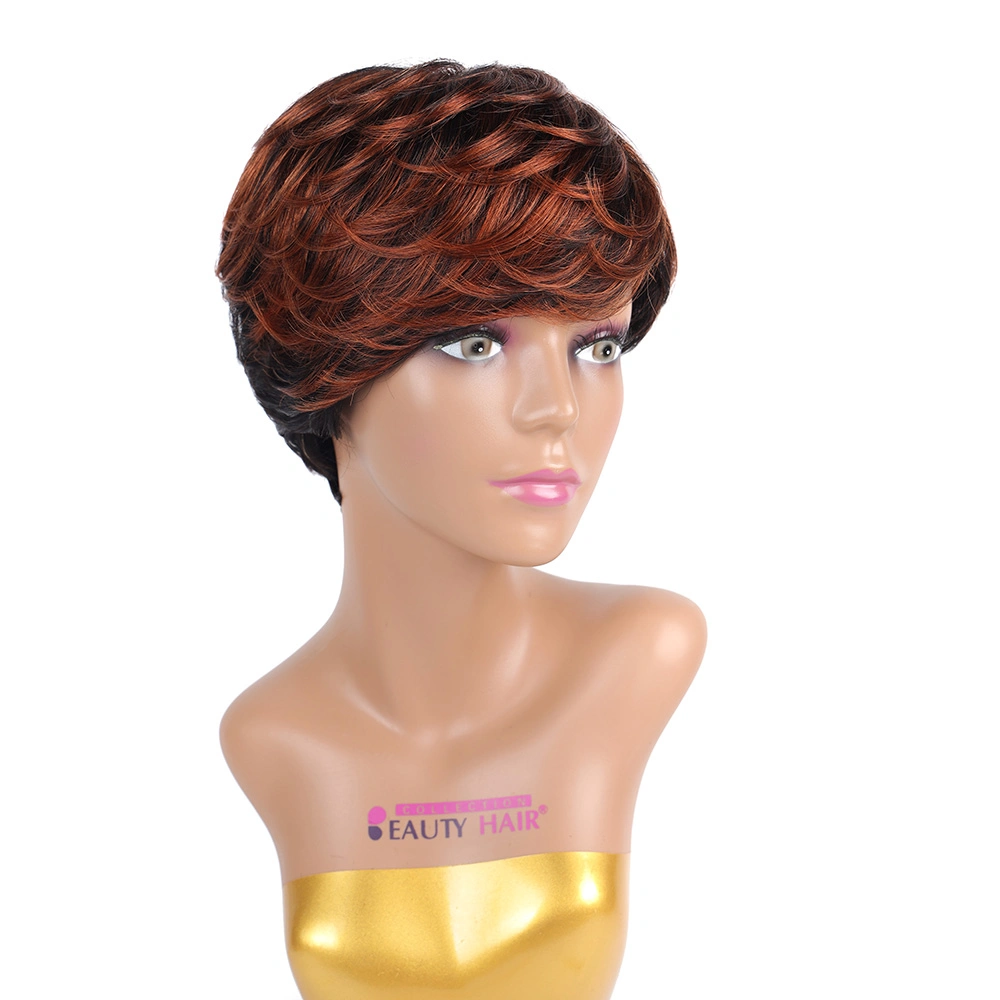 Factory Wholesale/Supplier Price Synthetic Hair Wig Sample Customization