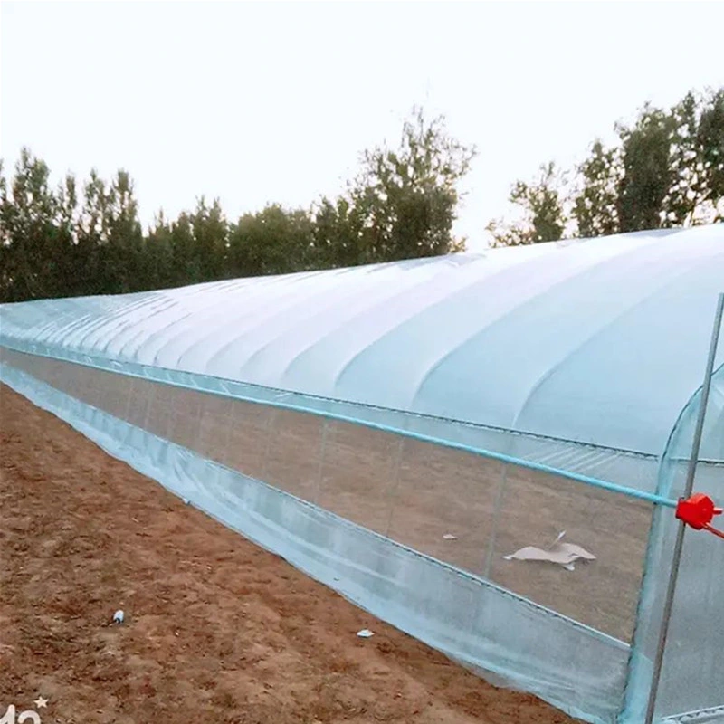 Affordable Personalized Hot-Rolled Garden Shed Multi Span Steel Structure Tunnel Greenhouse