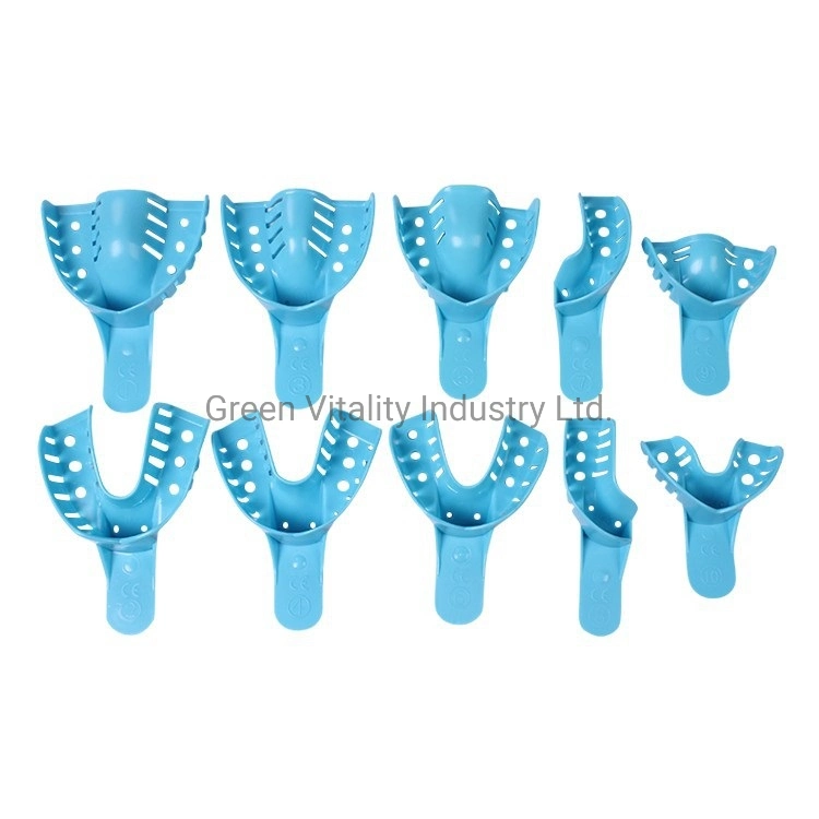 Injection Moulding Disposable Dental Impression Trays Teeth Model Plate Trays