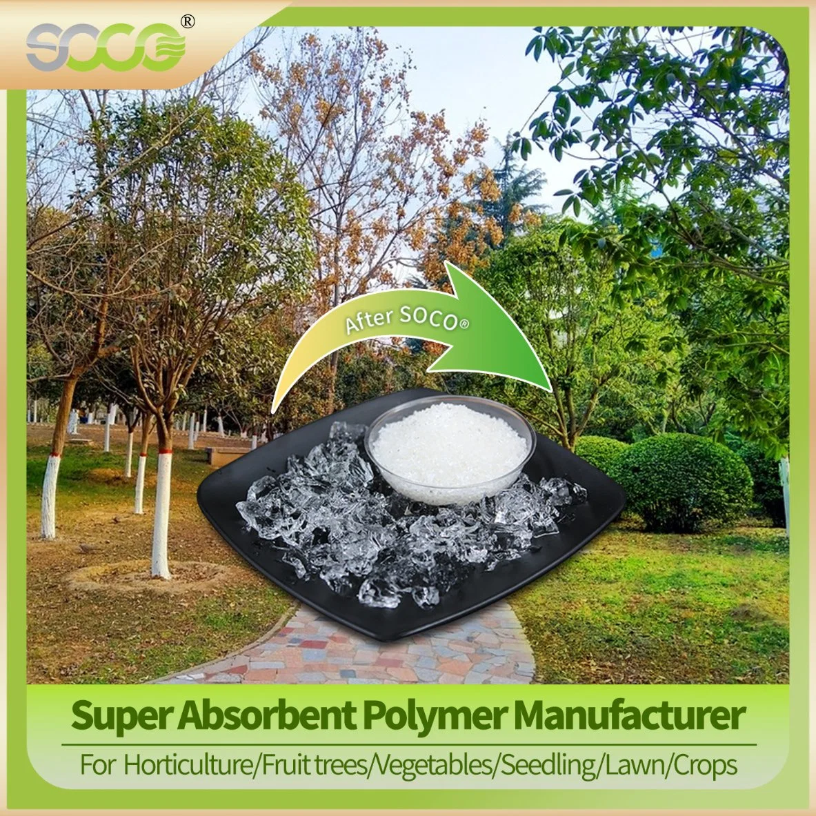 Super Absorbent Polymer Manufacturer Sap Powder, Potassium Polyacrylate Hydrogels, Water Gel Polymer Price for Garden Plants, Agricultural Crop, Forestry