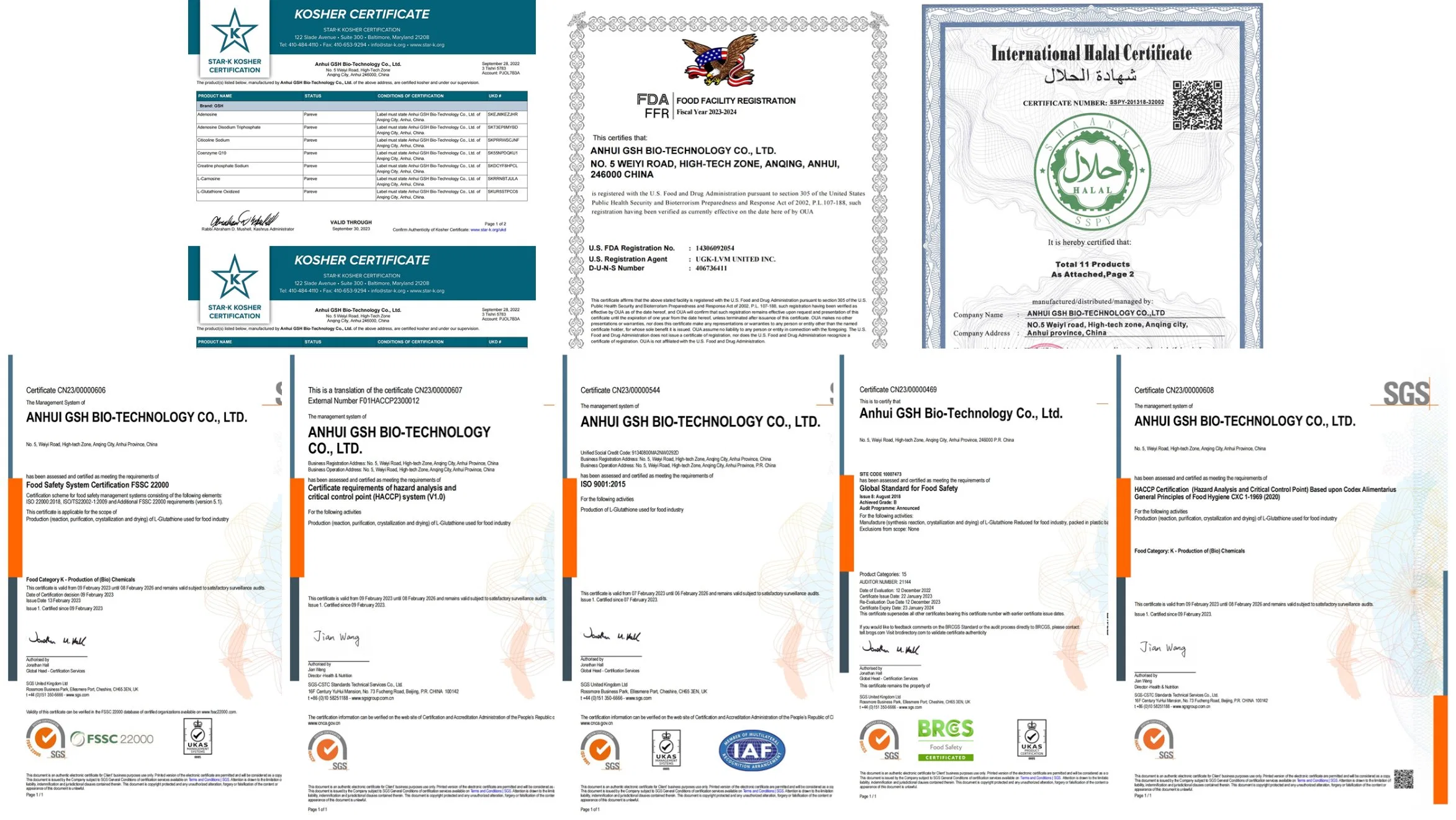 Anti-Âge Nmn β -Nicotinamide Mononucléotide de Haute Qualité 1094-61-7 Nmn