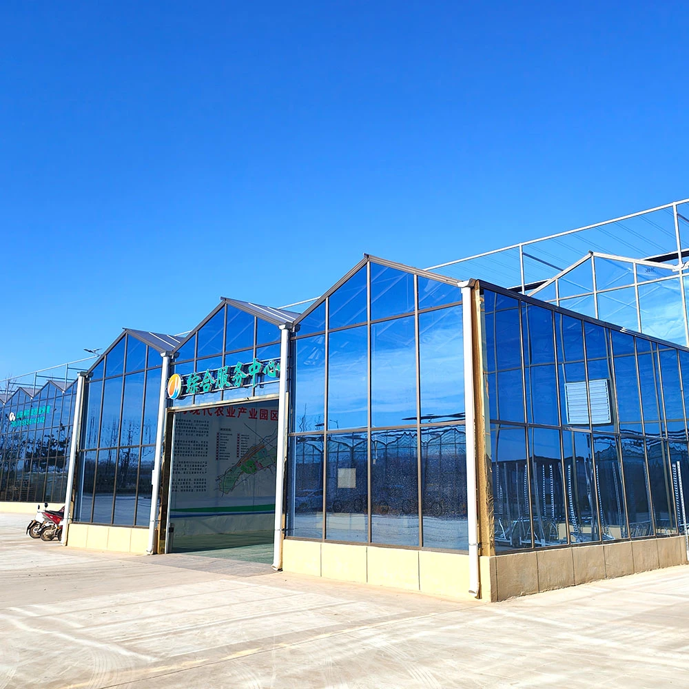 Agricultural Multi Span Film/Polycarbonate/Steel Structure/Glass Greenhouse with Hydroponics Irrigation System Used Tomato/Lettuce/Strawberry