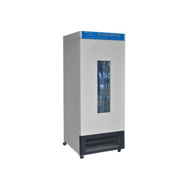 Medical Hospital Laboratory Mould Cultivation Cabinet Lab Mould Incubator