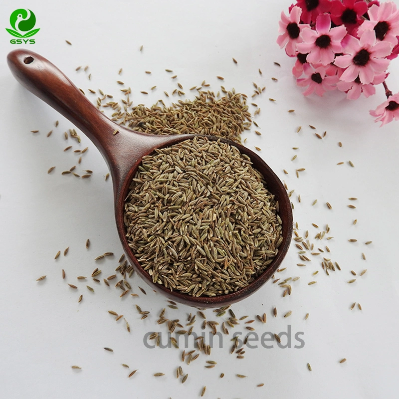 High quality/High cost performance  Nature Cumin Seeds Wholesale/Supplier