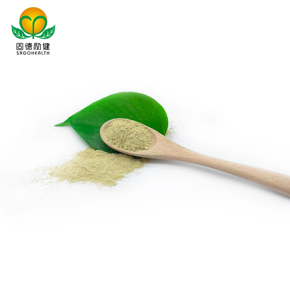 Factory Direct Supply Pure Sophora Japonica Extract Powder Rutin CAS No153-18-4