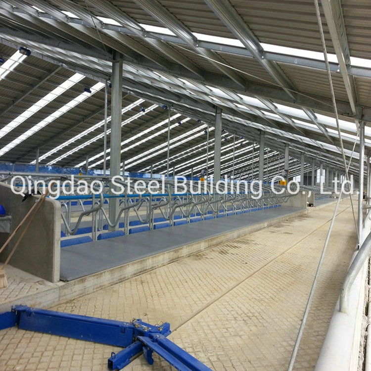 China Good Quality Light Steel Structure Cow Farm Steel Building