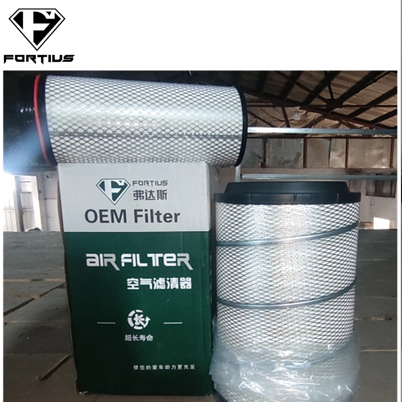 Genuine Diesel Engine Spare Parts OEM Air Filter Wg9725190103/2 Price