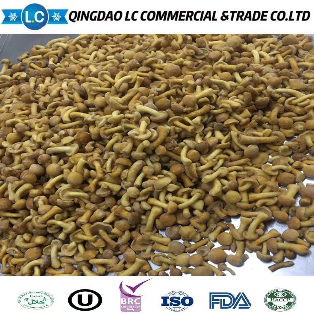 China vegetais congelados IQF Nameko Mushroom com Gap BRC ISO Certificados