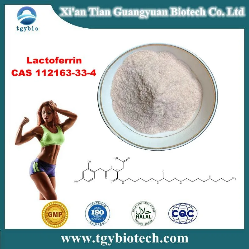 Lactoferrin Powder CAS 112163-33-4 Nutritional Fortification Lactoferrin