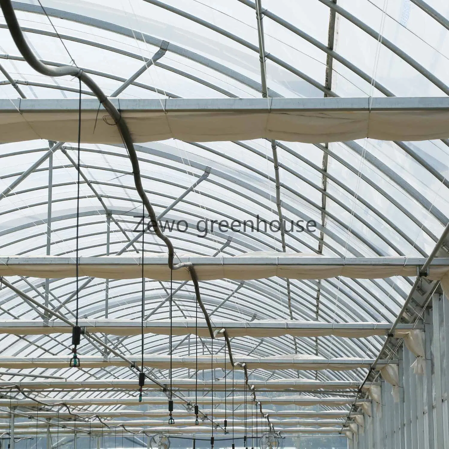 Film agricole multi-Span Arch-Type PE Greenhouse pour l'agriculture verticale