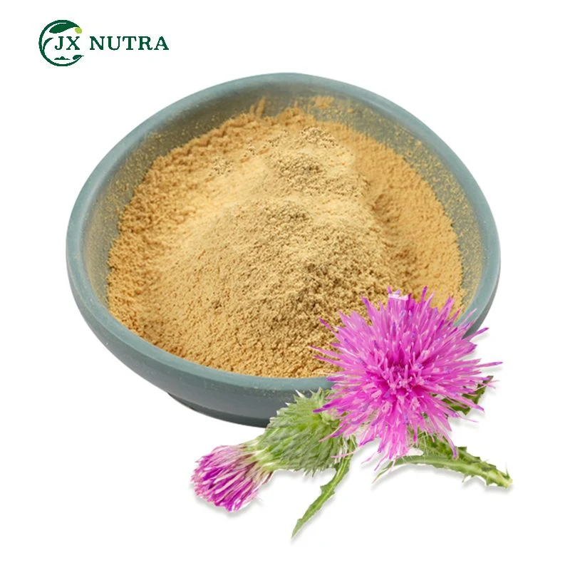 Venda por grosso Silymarin Protecção hepática Leite Antioxidante Thistle Extract