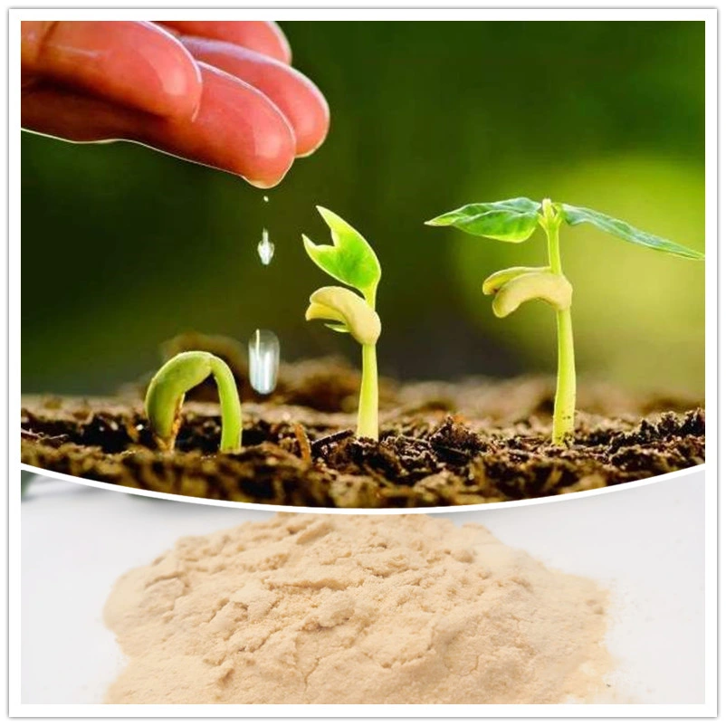 Alimentos compostos Aminoácido Ca Quelato B o fertilizante orgânico Micro-Nutrition Vegetal complementar