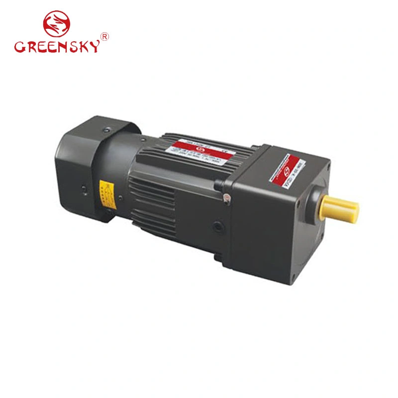 370W Small Brake AC Gear Motor with Constant Low Speed High Torque