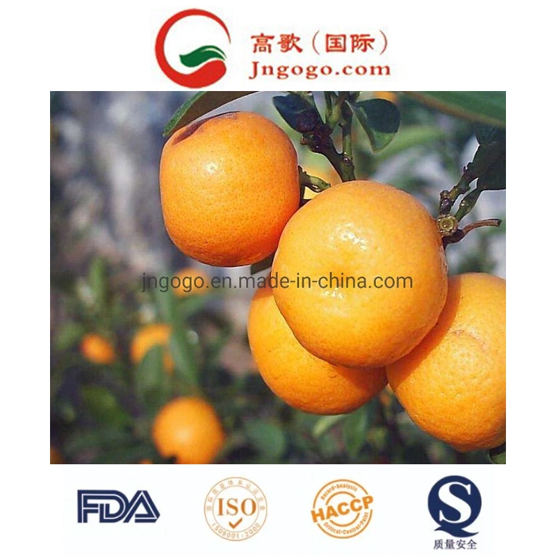10kgs/Carton Top Quality Chinese Fresh Mandarin Orange Ponkan Orange