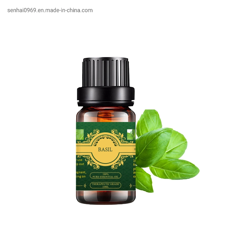 Bulk Wholesale/Supplier Pure Natural Fragrance Perfume Oil CAS 8015-73-4 Basil Oil in Daily Flavor