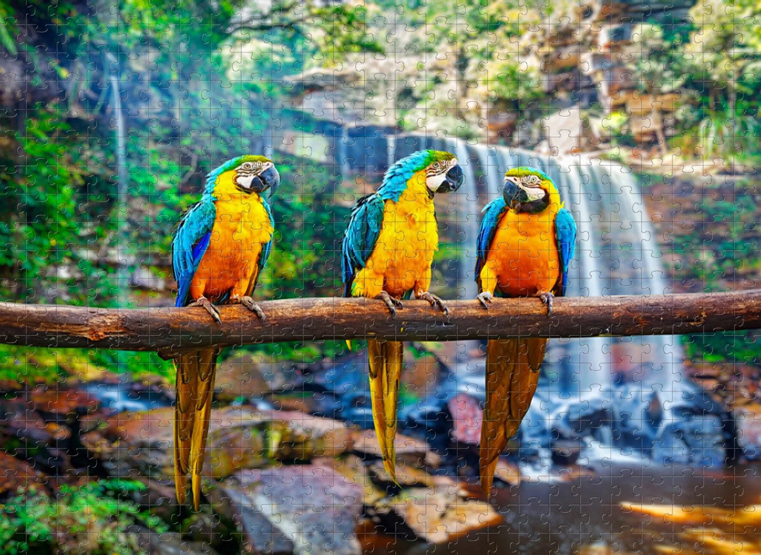 Los loros de madera al por mayor de tres piezas de rompecabezas de la educación intelectual de 8000 juguetes infantiles, regalos de cumpleaños, personalizable de patrones y tamaños.