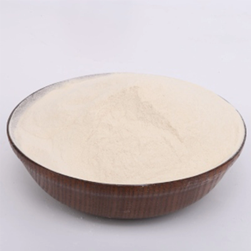 Supply Food Grade Thickener Xanthan Gum Powder 200 Mesh