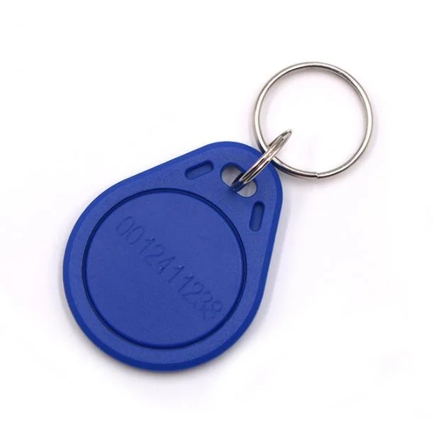 Inventory 125kHz RFID ABS Waterproof 134.2kHz Keyfob Plastic Key Tag with Keychain